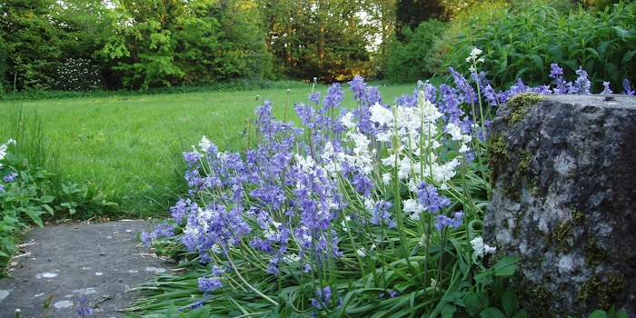 The garden at Wainwright House B&B in Kendal