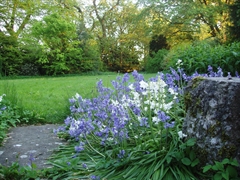 Back garden at Wainwright House Bed & Breakfast Kendal